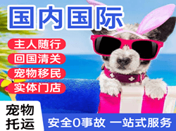 哈尔滨空运公司国际宠物托运 【国
